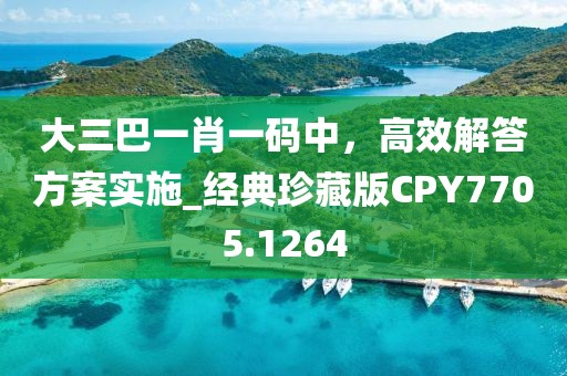 大三巴一肖一碼中，高效解答方案實施_經(jīng)典珍藏版CPY7705.1264