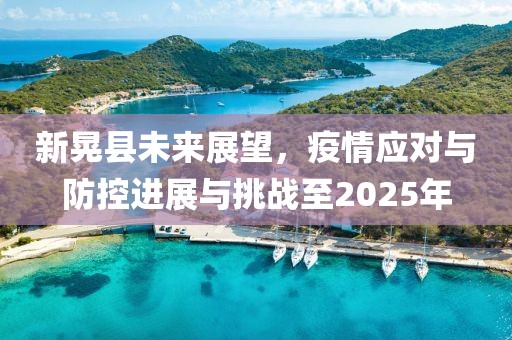 新晃縣未來展望，疫情應(yīng)對(duì)與防控進(jìn)展與挑戰(zhàn)至2025年