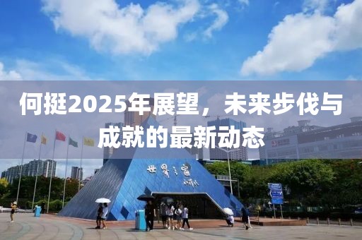 何挺2025年展望，未來步伐與成就的最新動態(tài)