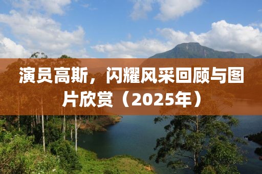 演員高斯，閃耀風(fēng)采回顧與圖片欣賞（2025年）