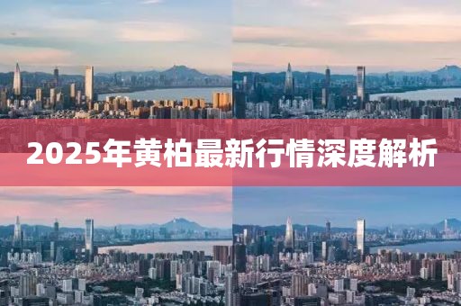 2025年黃柏最新行情深度解析