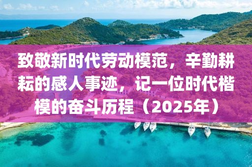致敬新時代勞動模范，辛勤耕耘的感人事跡，記一位時代楷模的奮斗歷程（2025年）