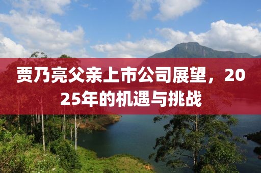 賈乃亮父親上市公司展望，2025年的機(jī)遇與挑戰(zhàn)