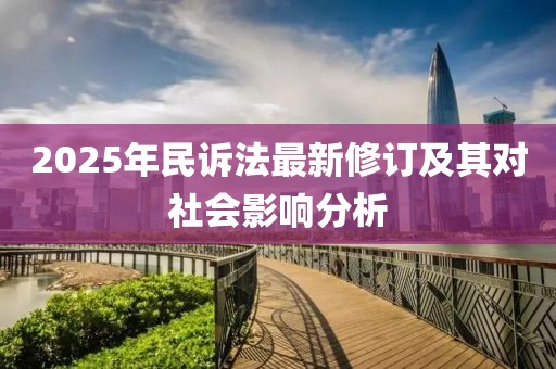 2025年民訴法最新修訂及其對社會影響分析