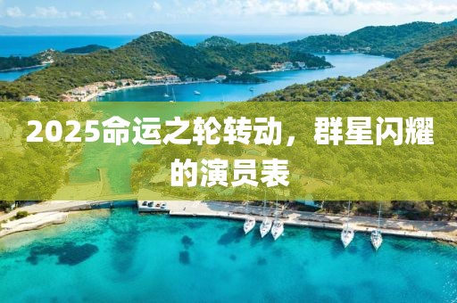 2025命運(yùn)之輪轉(zhuǎn)動(dòng)，群星閃耀的演員表