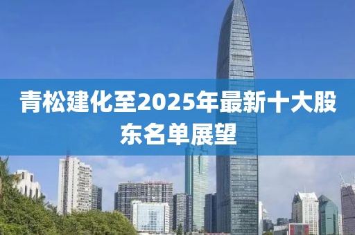 青松建化至2025年最新十大股東名單展望