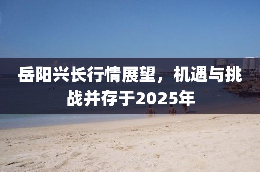 岳陽(yáng)興長(zhǎng)行情展望，機(jī)遇與挑戰(zhàn)并存于2025年