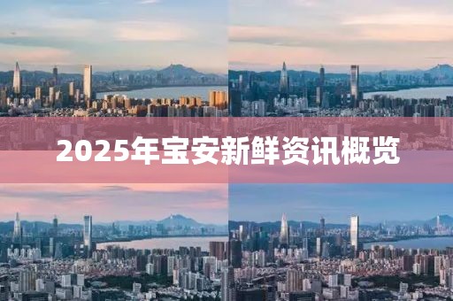 2025年寶安新鮮資訊概覽