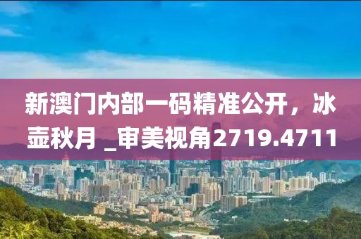 新澳門(mén)內(nèi)部一碼精準(zhǔn)公開(kāi)，冰壺秋月 _審美視角2719.4711