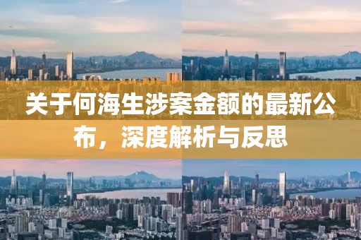 關(guān)于何海生涉案金額的最新公布，深度解析與反思