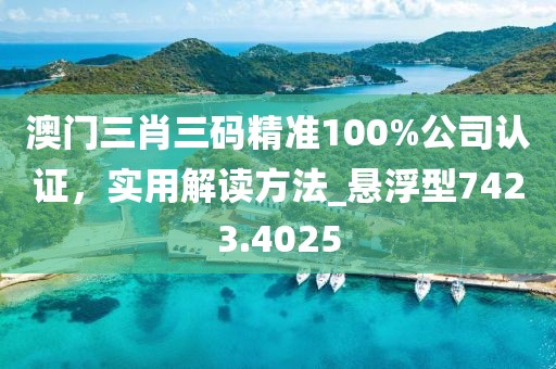澳門三肖三碼精準(zhǔn)100%公司認(rèn)證，實(shí)用解讀方法_懸浮型7423.4025