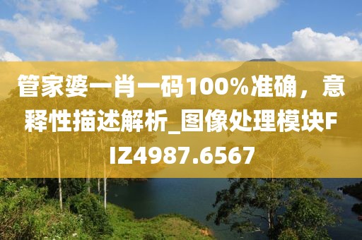 管家婆一肖一碼100%準(zhǔn)確，意釋性描述解析_圖像處理模塊FIZ4987.6567