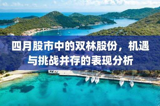 四月股市中的雙林股份，機(jī)遇與挑戰(zhàn)并存的表現(xiàn)分析