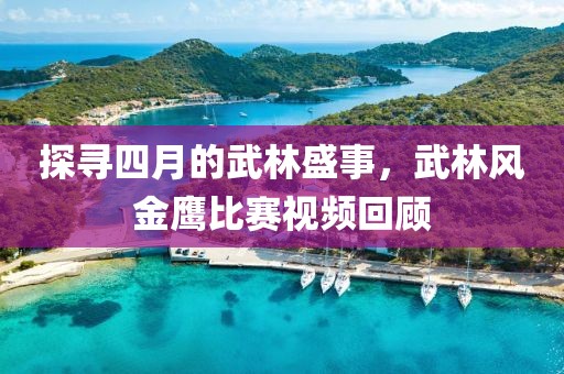 探尋四月的武林盛事，武林風(fēng)金鷹比賽視頻回顧