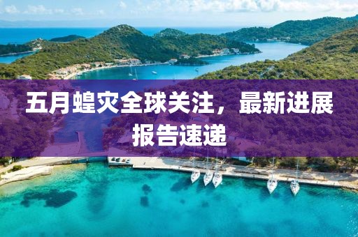 五月蝗災(zāi)全球關(guān)注，最新進(jìn)展報(bào)告速遞