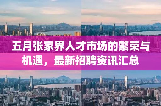 五月張家界人才市場的繁榮與機遇，最新招聘資訊匯總