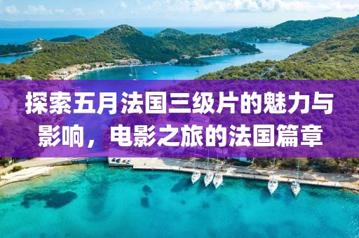 探索五月法國三級片的魅力與影響，電影之旅的法國篇章