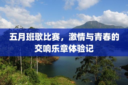 五月班歌比賽，激情與青春的交響樂章體驗記