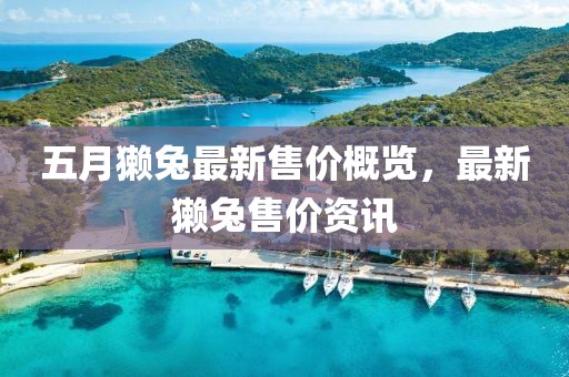 五月獺兔最新售價(jià)概覽，最新獺兔售價(jià)資訊