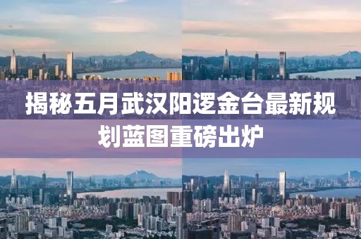 揭秘五月武漢陽邏金臺最新規(guī)劃藍(lán)圖重磅出爐