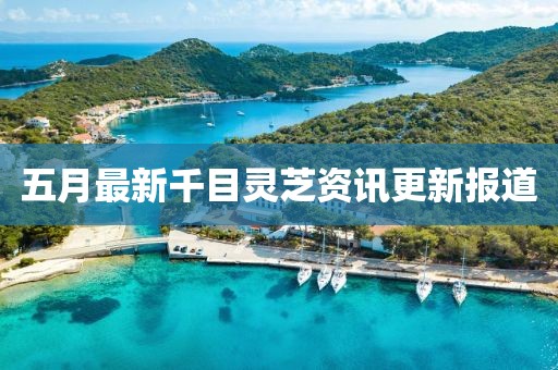 五月最新千目靈芝資訊更新報道