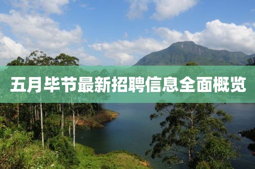 五月畢節(jié)最新招聘信息全面概覽