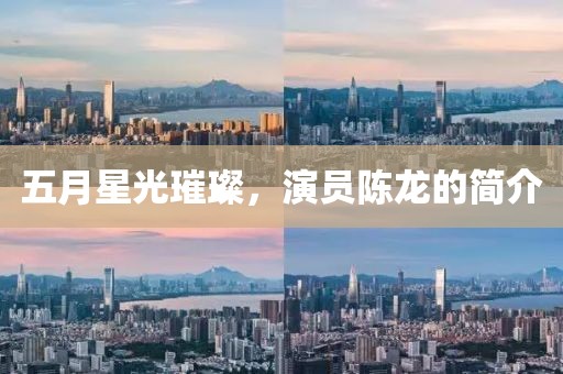 五月星光璀璨，演員陳龍的簡介