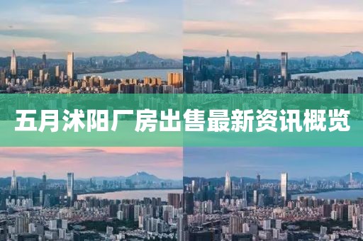 五月沭陽(yáng)廠房出售最新資訊概覽