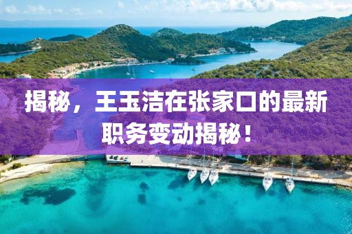 揭秘，王玉潔在張家口的最新職務變動揭秘！