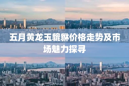 五月黃龍玉貔貅價格走勢及市場魅力探尋