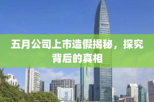 五月公司上市造假揭秘，探究背后的真相