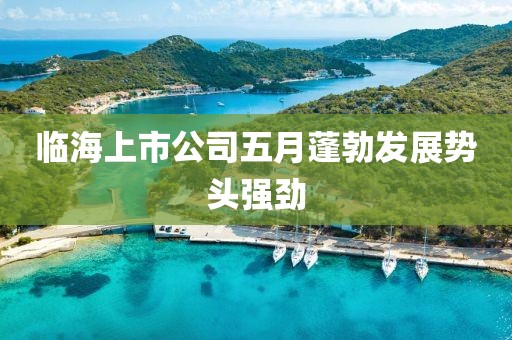 臨海上市公司五月蓬勃發(fā)展勢頭強(qiáng)勁
