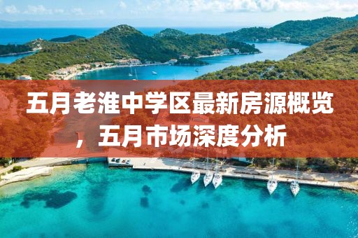 五月老淮中學(xué)區(qū)最新房源概覽，五月市場深度分析