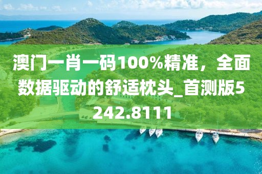 澳門一肖一碼100%精準(zhǔn)，全面數(shù)據(jù)驅(qū)動的舒適枕頭_首測版5242.8111