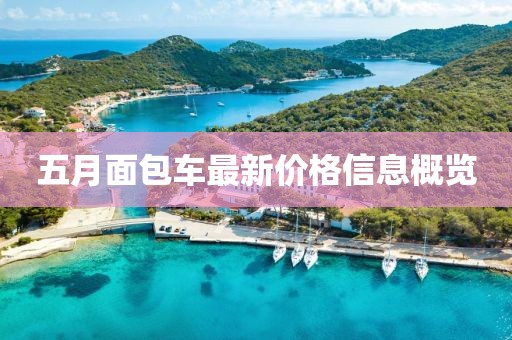 五月面包車最新價格信息概覽