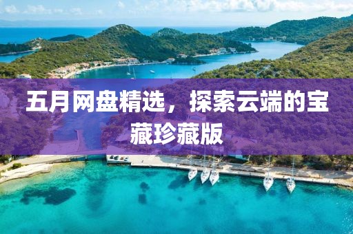 五月網(wǎng)盤精選，探索云端的寶藏珍藏版