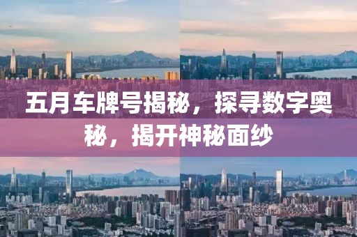 五月車牌號(hào)揭秘，探尋數(shù)字奧秘，揭開神秘面紗