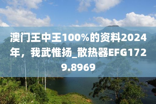 澳門王中王100%的資料2024年，我武惟揚(yáng)_散熱器EFG1729.8969