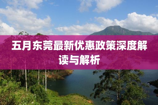 五月東莞最新優(yōu)惠政策深度解讀與解析
