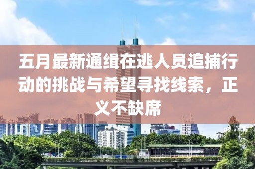 五月最新通緝在逃人員追捕行動的挑戰(zhàn)與希望尋找線索，正義不缺席