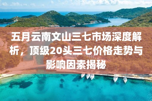 五月云南文山三七市場深度解析，頂級20頭三七價(jià)格走勢與影響因素揭秘