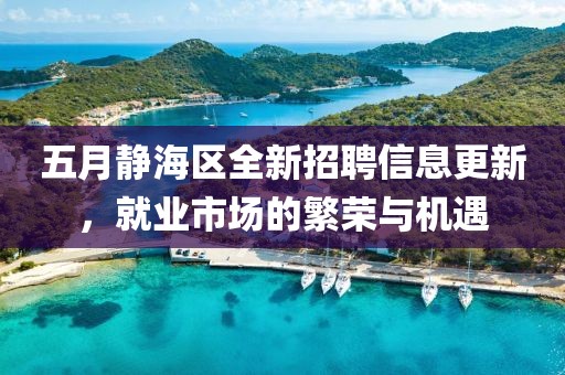 五月靜海區(qū)全新招聘信息更新，就業(yè)市場的繁榮與機(jī)遇