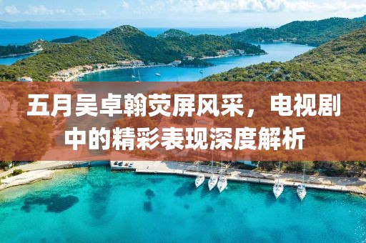 五月吳卓翰熒屏風(fēng)采，電視劇中的精彩表現(xiàn)深度解析