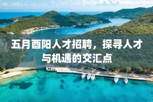 五月酉陽人才招聘，探尋人才與機遇的交匯點