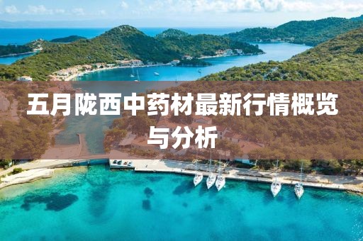 2025年6月4日 第7頁
