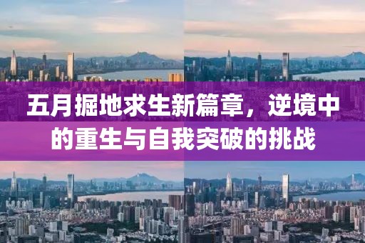 五月掘地求生新篇章，逆境中的重生與自我突破的挑戰(zhàn)