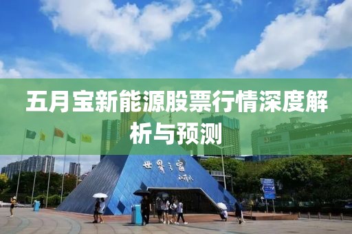 五月寶新能源股票行情深度解析與預(yù)測