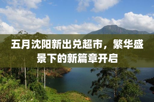 五月沈陽新出兌超市，繁華盛景下的新篇章開啟