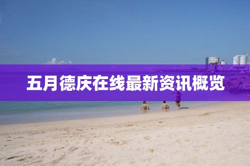 五月德慶在線最新資訊概覽