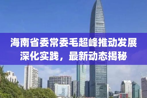 海南省委常委毛超峰推動(dòng)發(fā)展深化實(shí)踐，最新動(dòng)態(tài)揭秘